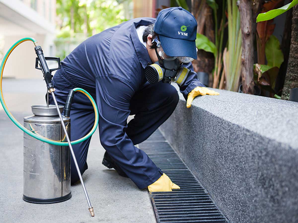 Pest Control - VVM Cleaning Solutions Perth WA